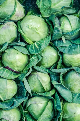 Cabbage - per piece