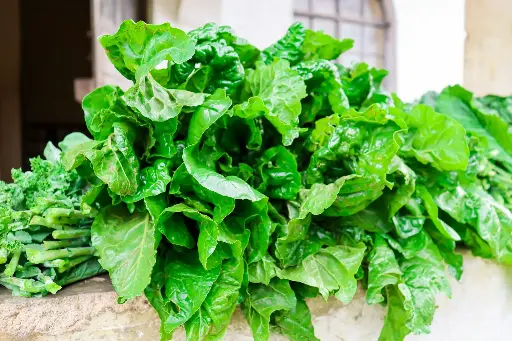 Sukuma Wiki -per bunch