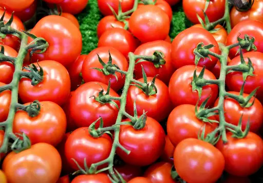 Tomatoes- per Kg