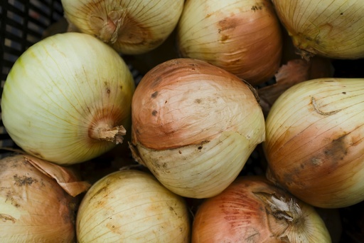 White Onion- per Kg