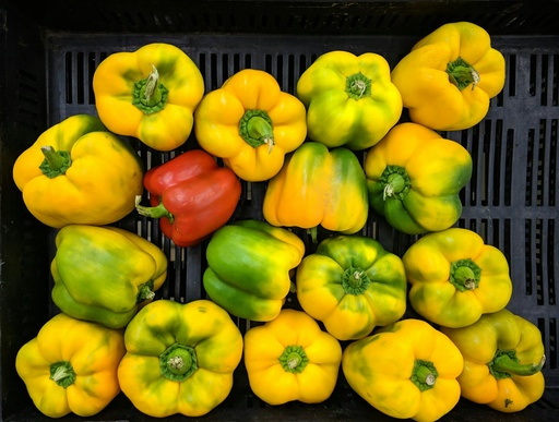 Yellow  ​C apsicum- per piece